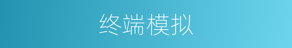 终端模拟的同义词