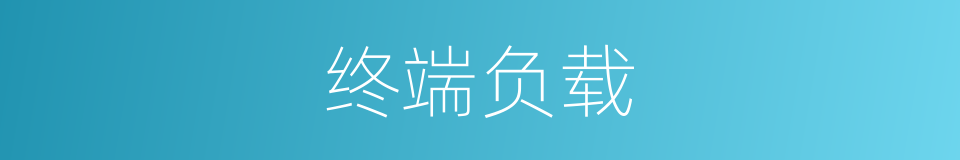 终端负载的同义词