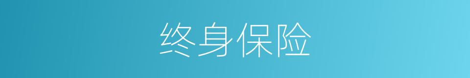 终身保险的同义词