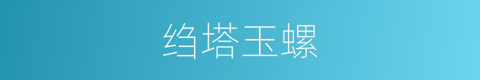 绉塔玉螺的同义词