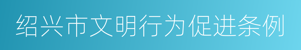 绍兴市文明行为促进条例的同义词