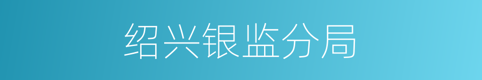 绍兴银监分局的同义词
