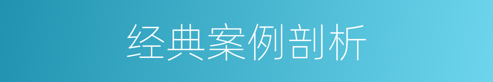 经典案例剖析的同义词