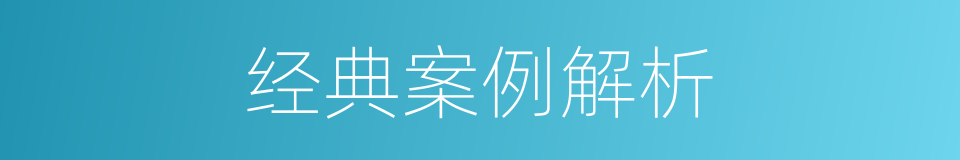 经典案例解析的同义词