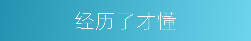 经历了才懂的同义词