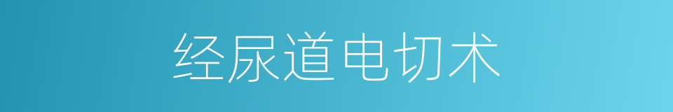 经尿道电切术的同义词