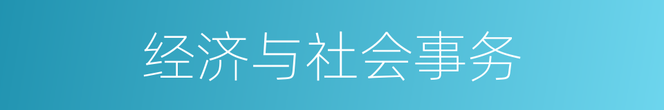 经济与社会事务的同义词