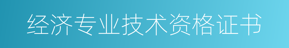 经济专业技术资格证书的同义词