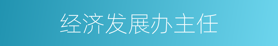 经济发展办主任的同义词