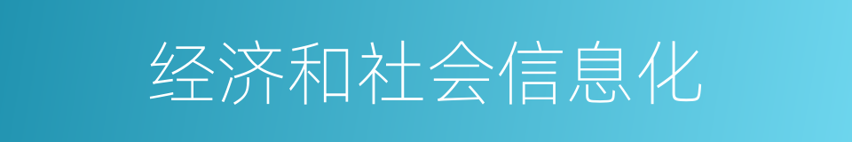 经济和社会信息化的同义词