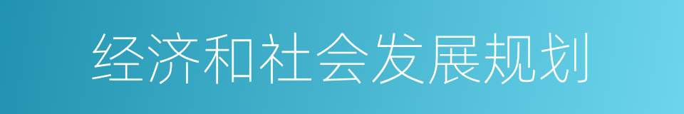 经济和社会发展规划的同义词