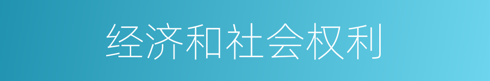 经济和社会权利的同义词