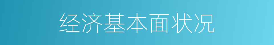 经济基本面状况的同义词