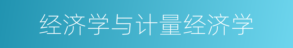 经济学与计量经济学的同义词