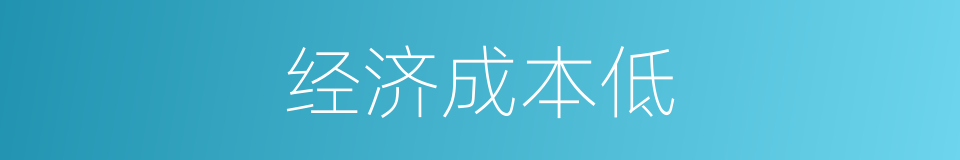 经济成本低的同义词