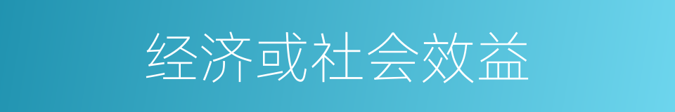 经济或社会效益的同义词