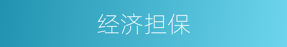 经济担保的同义词