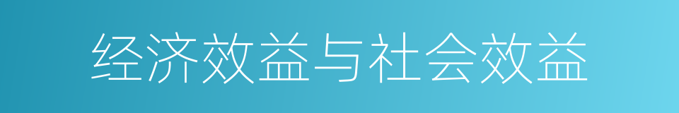 经济效益与社会效益的同义词