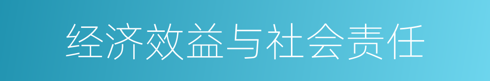 经济效益与社会责任的同义词