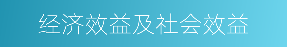 经济效益及社会效益的同义词