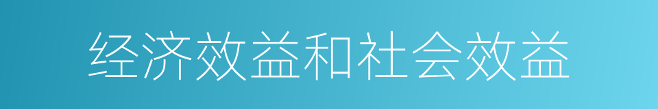 经济效益和社会效益的同义词