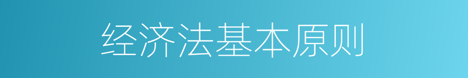 经济法基本原则的同义词