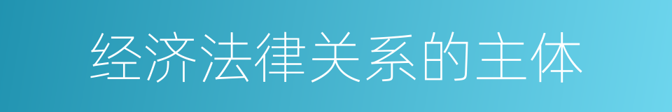 经济法律关系的主体的同义词