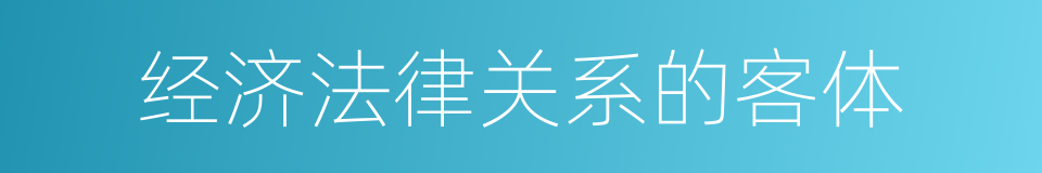 经济法律关系的客体的同义词