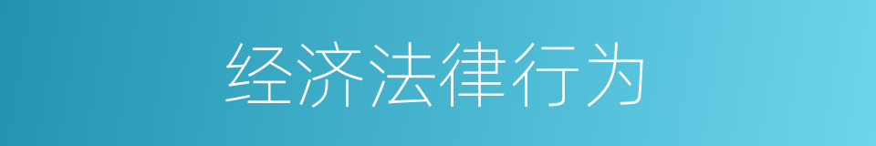 经济法律行为的同义词