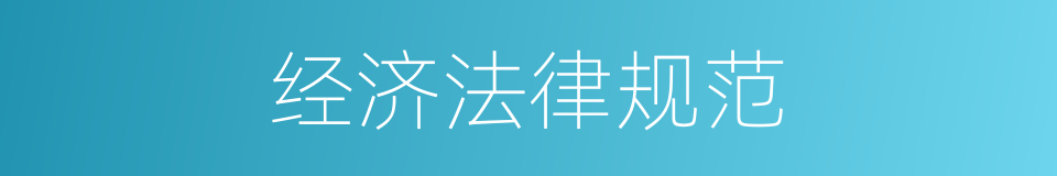 经济法律规范的同义词