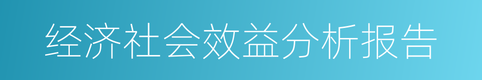 经济社会效益分析报告的同义词