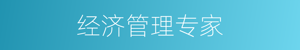 经济管理专家的同义词
