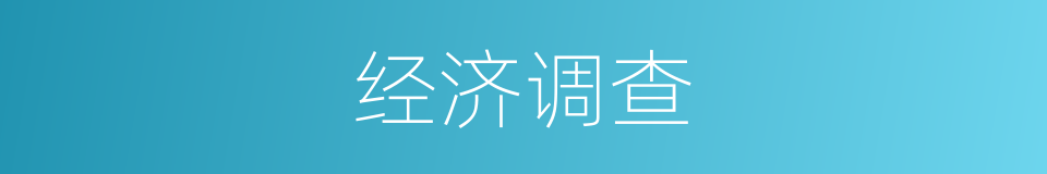 经济调查的同义词