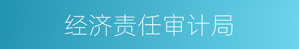 经济责任审计局的同义词