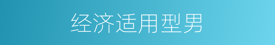 经济适用型男的同义词