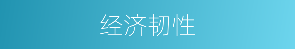 经济韧性的同义词