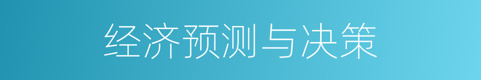 经济预测与决策的同义词