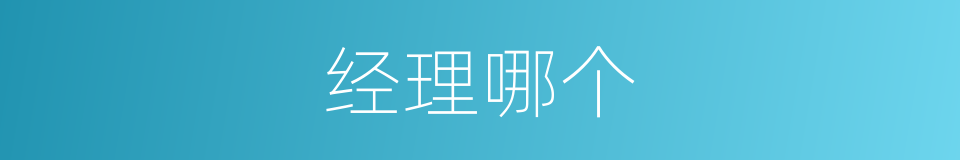 经理哪个的意思