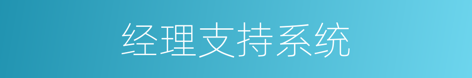 经理支持系统的同义词