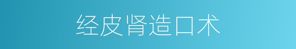 经皮肾造口术的同义词