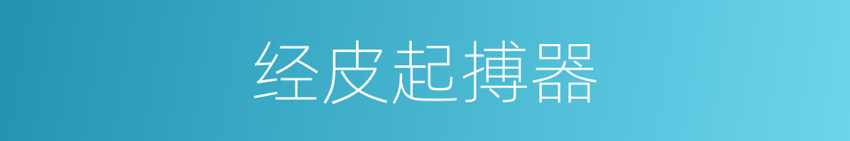 经皮起搏器的同义词