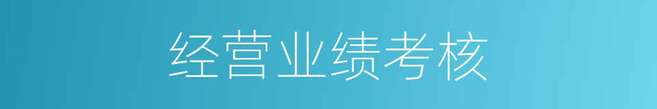 经营业绩考核的同义词