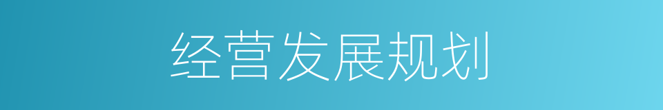 经营发展规划的同义词