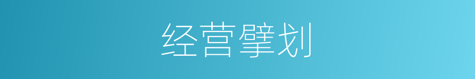 经营擘划的意思