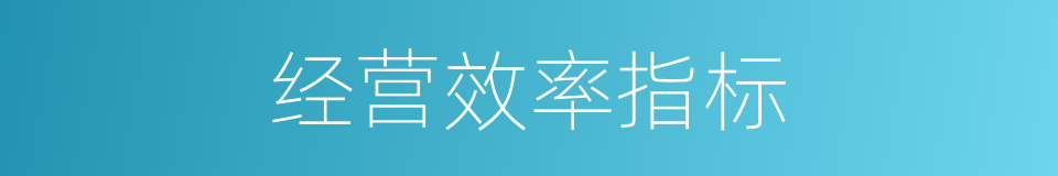 经营效率指标的同义词