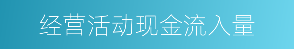 经营活动现金流入量的同义词