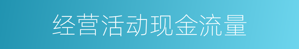 经营活动现金流量的同义词