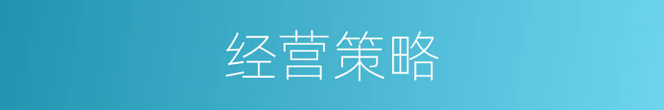 经营策略的意思