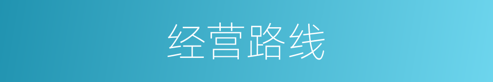 经营路线的同义词