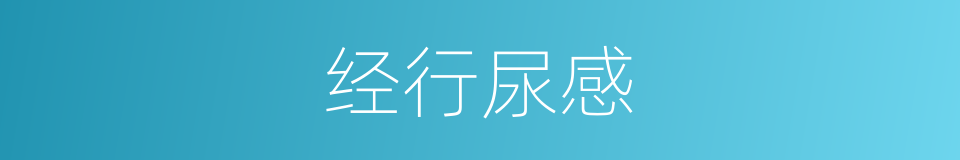 经行尿感的同义词